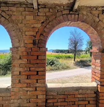 Foto annuncio 11