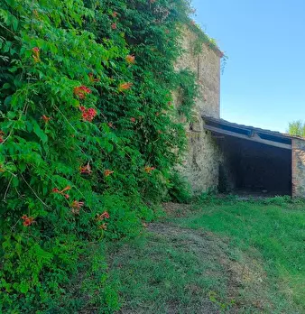 Foto annuncio 24