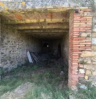 Foto annuncio 9