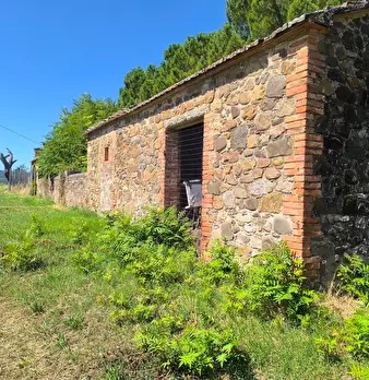 Foto annuncio 18