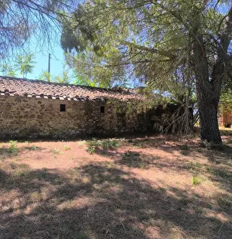 Foto annuncio 19