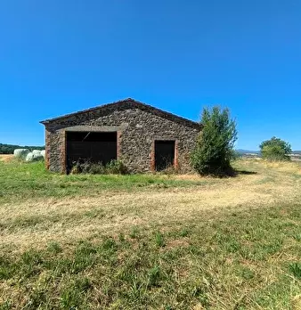 Foto annuncio 33