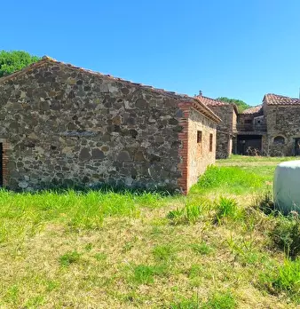 Foto annuncio 28