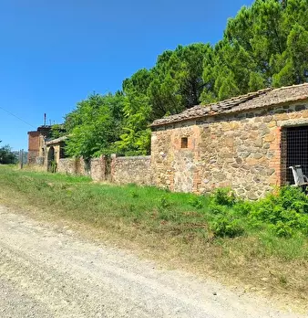 Foto annuncio 17