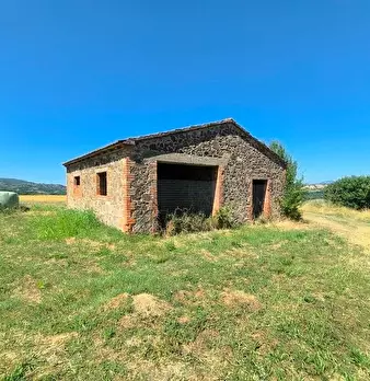 Foto annuncio 31