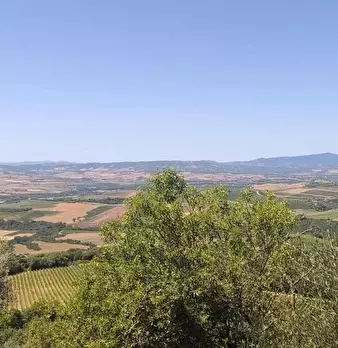 Foto annuncio 11
