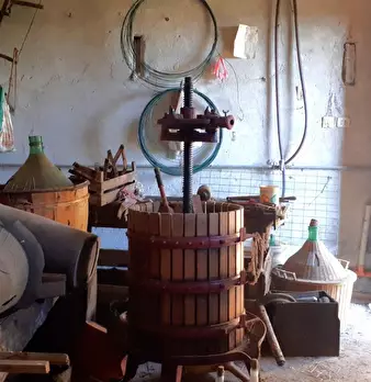 Foto annuncio 18