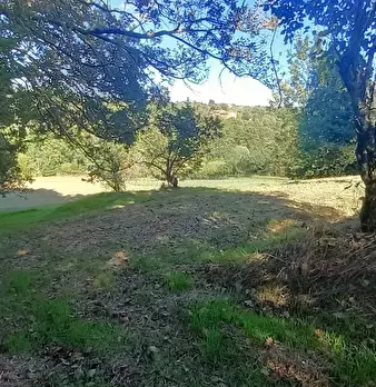 Foto annuncio 20