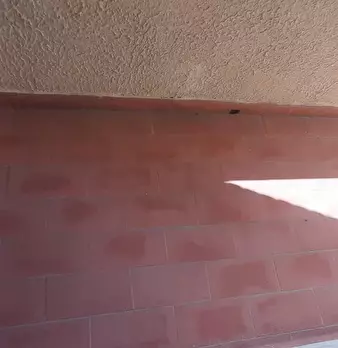 Foto annuncio 33