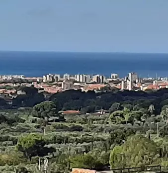 Foto annuncio 60