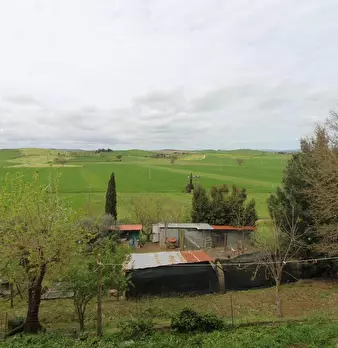 Foto annuncio 32