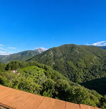 Foto annuncio 28