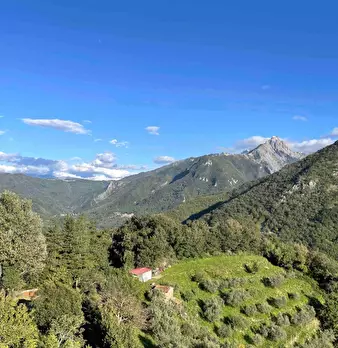 Foto annuncio 1