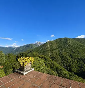 Foto annuncio 10