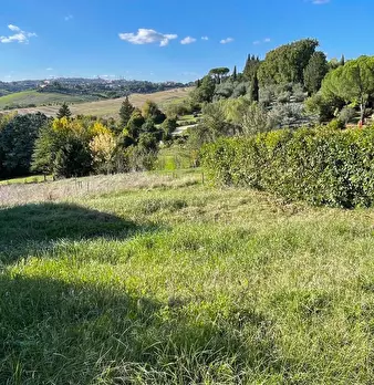 Foto annuncio 24