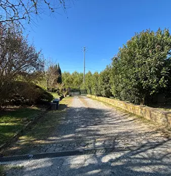 Foto annuncio 7