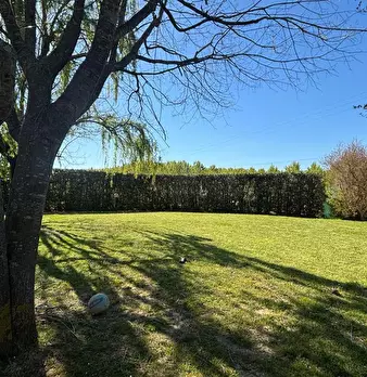 Foto annuncio 5