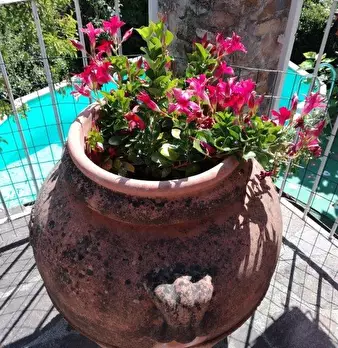 Foto annuncio 18
