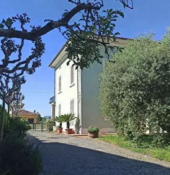 Foto annuncio 3