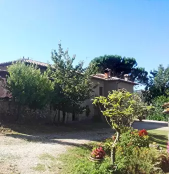 Foto annuncio 24