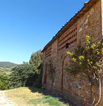 Foto annuncio 46