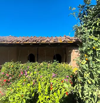 Foto annuncio 26