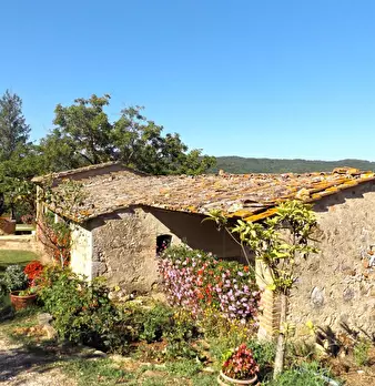 Foto annuncio 12