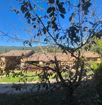 Foto annuncio 6