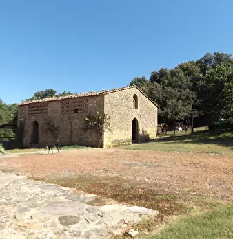 Foto annuncio 11