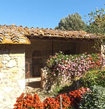 Foto annuncio 5
