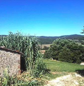 Foto annuncio 25