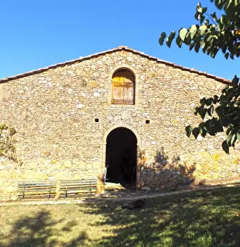 Foto annuncio 44