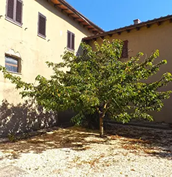 Foto annuncio 19