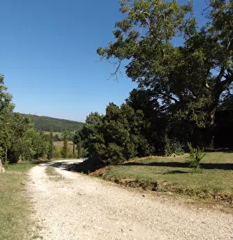 Foto annuncio 68