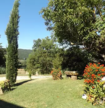 Foto annuncio 30