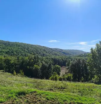 Foto annuncio 31