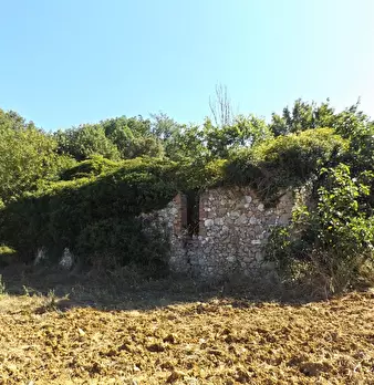 Foto annuncio 70