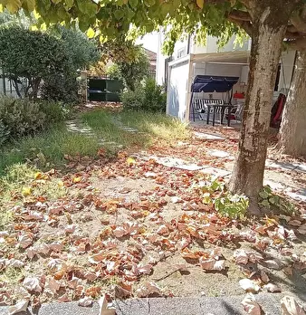 Foto annuncio 12