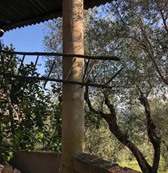 Foto annuncio 21
