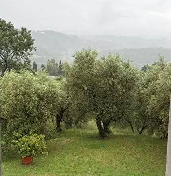 Foto annuncio 13