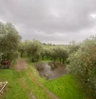 Foto annuncio 19