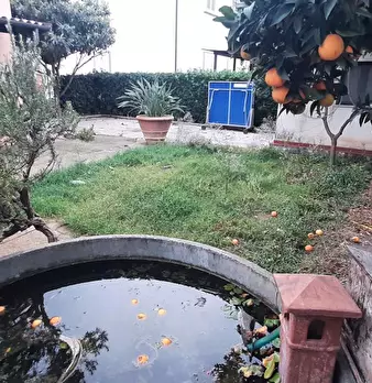 Foto annuncio 52