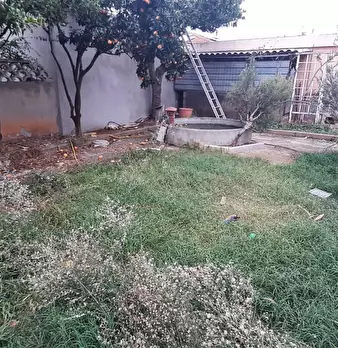 Foto annuncio 53