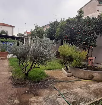Foto annuncio 47