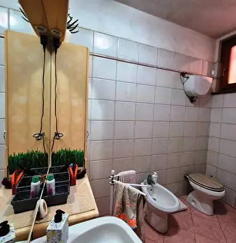 Foto annuncio 15