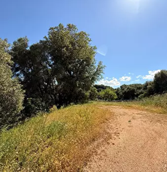Foto annuncio 13