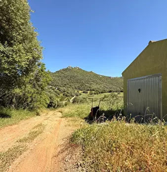 Foto annuncio 11