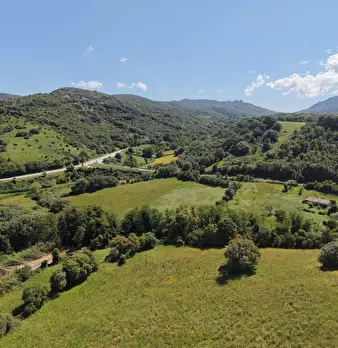 Foto annuncio 6