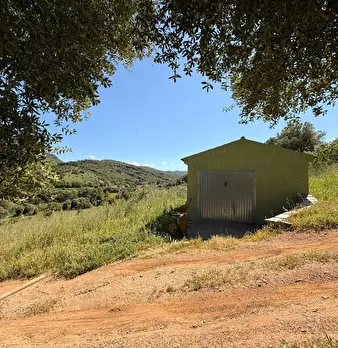 Foto annuncio 12