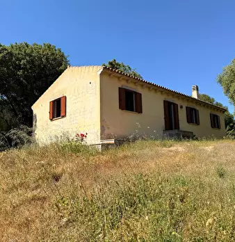 Foto annuncio 18